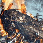 Fragua Visual: Serie de Fuego II